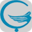 ÇAPA MEDİKAL logosu